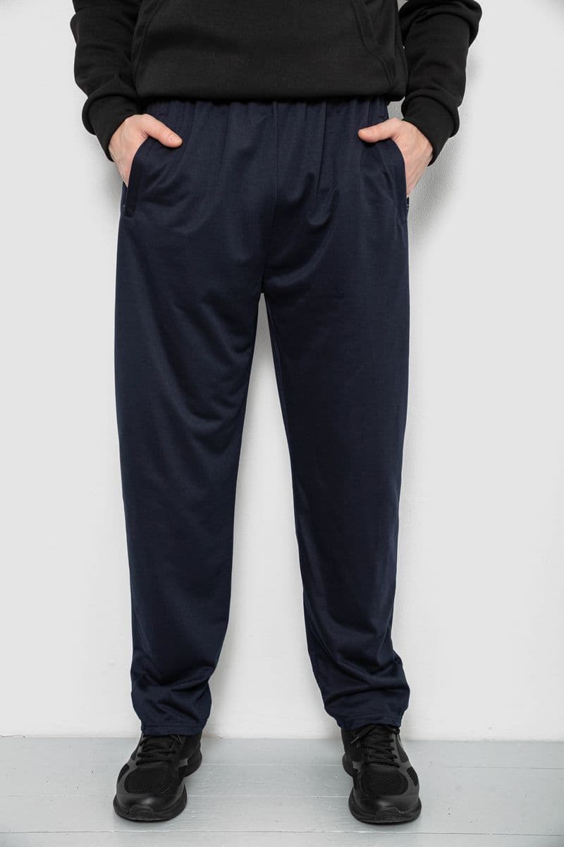 Спортивні штани чоловічі, колір синій, 244R41399 - зображення 1