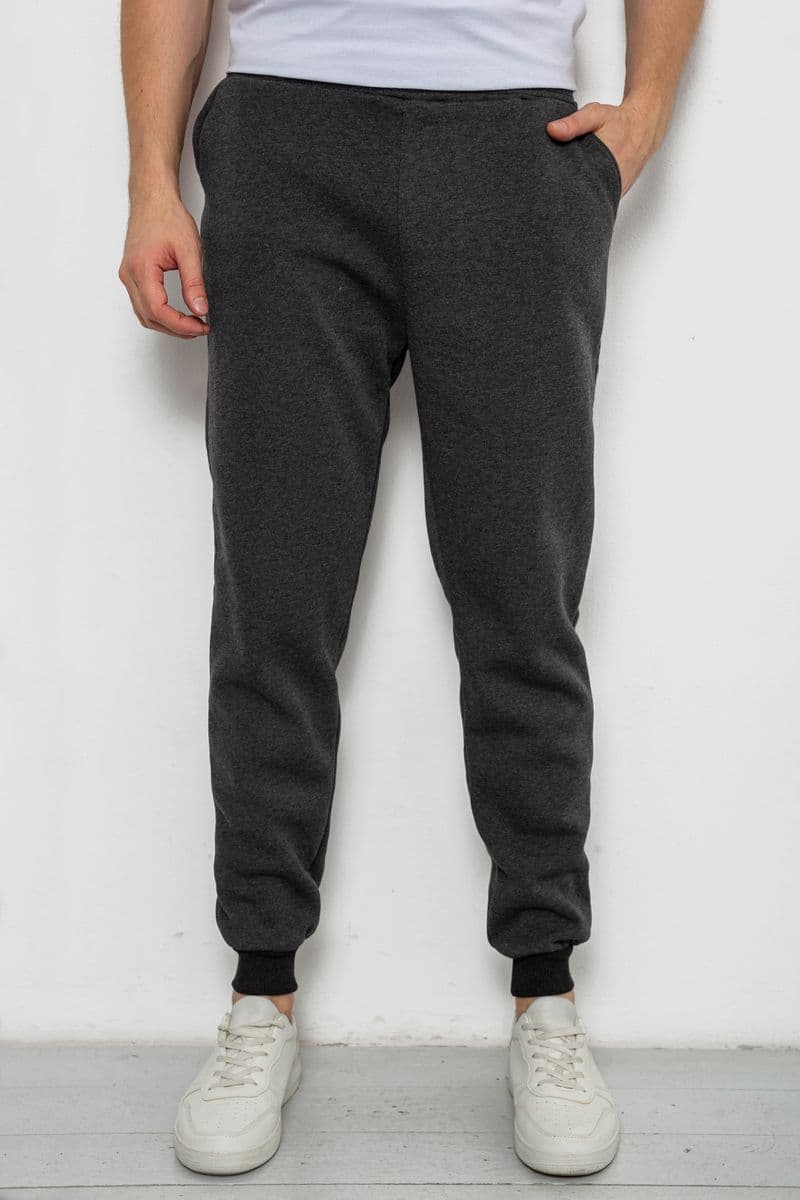 Спортивні чоловічі штани на флісі, колір темно-сірий, 238R56910-5 - зображення 1