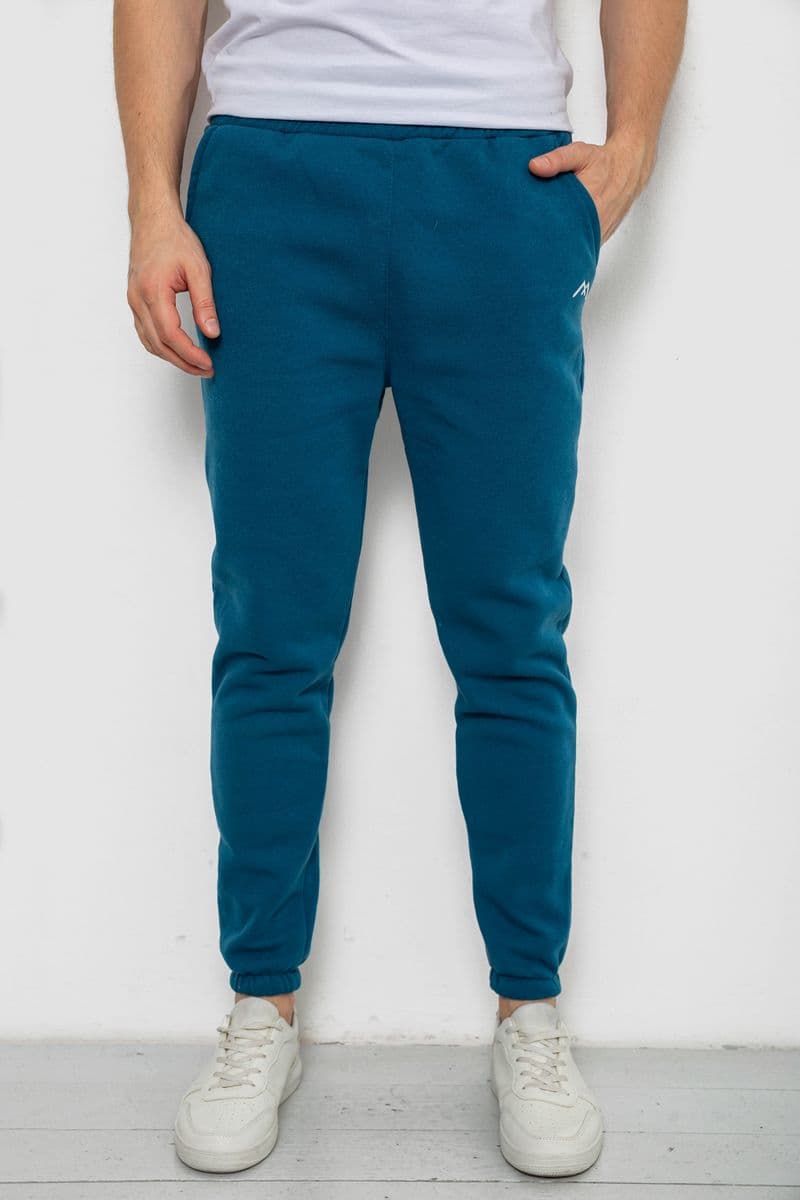 Спортивні штани чоловічі на флісі, колір смарагдовий, 238R57256 - зображення 1