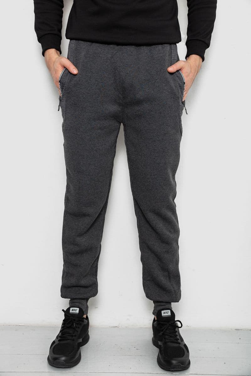 Спортивні штани чоловічі на флісі, колір сірий, 244R6120 - зображення 1