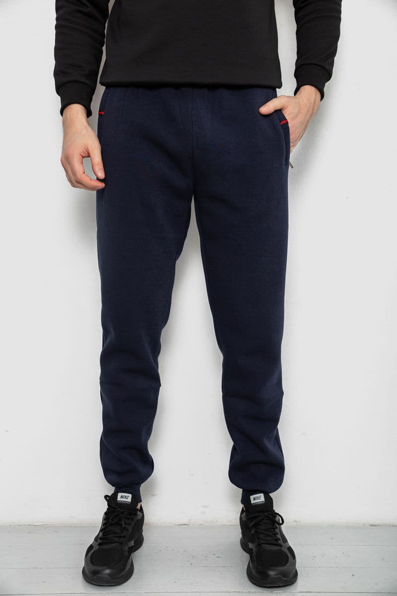 Спортивні штани чоловічі на флісі, колір синій, 244R41526 - зображення 1