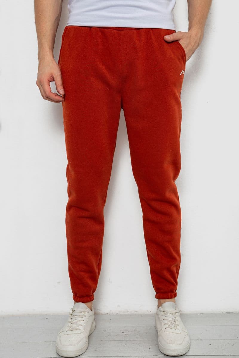 Спортивні штани чоловічі на флісі, колір теракотовий, 238R57256 - зображення 1