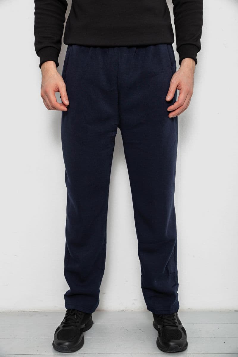 Спортивні штани чоловічі на флісі, колір синій, 244R41715 - зображення 1