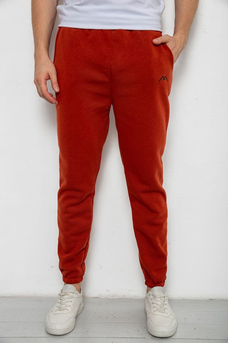 Спортивні штани чоловічі на флісі, колір теракотовий, 238R57256-1 - зображення 1
