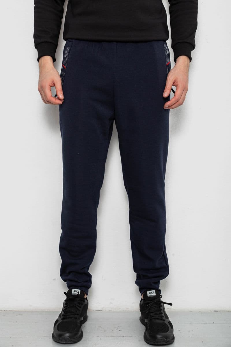 Спортивні штани чоловічі на флісі, колір синій, 244R41558 - зображення 1
