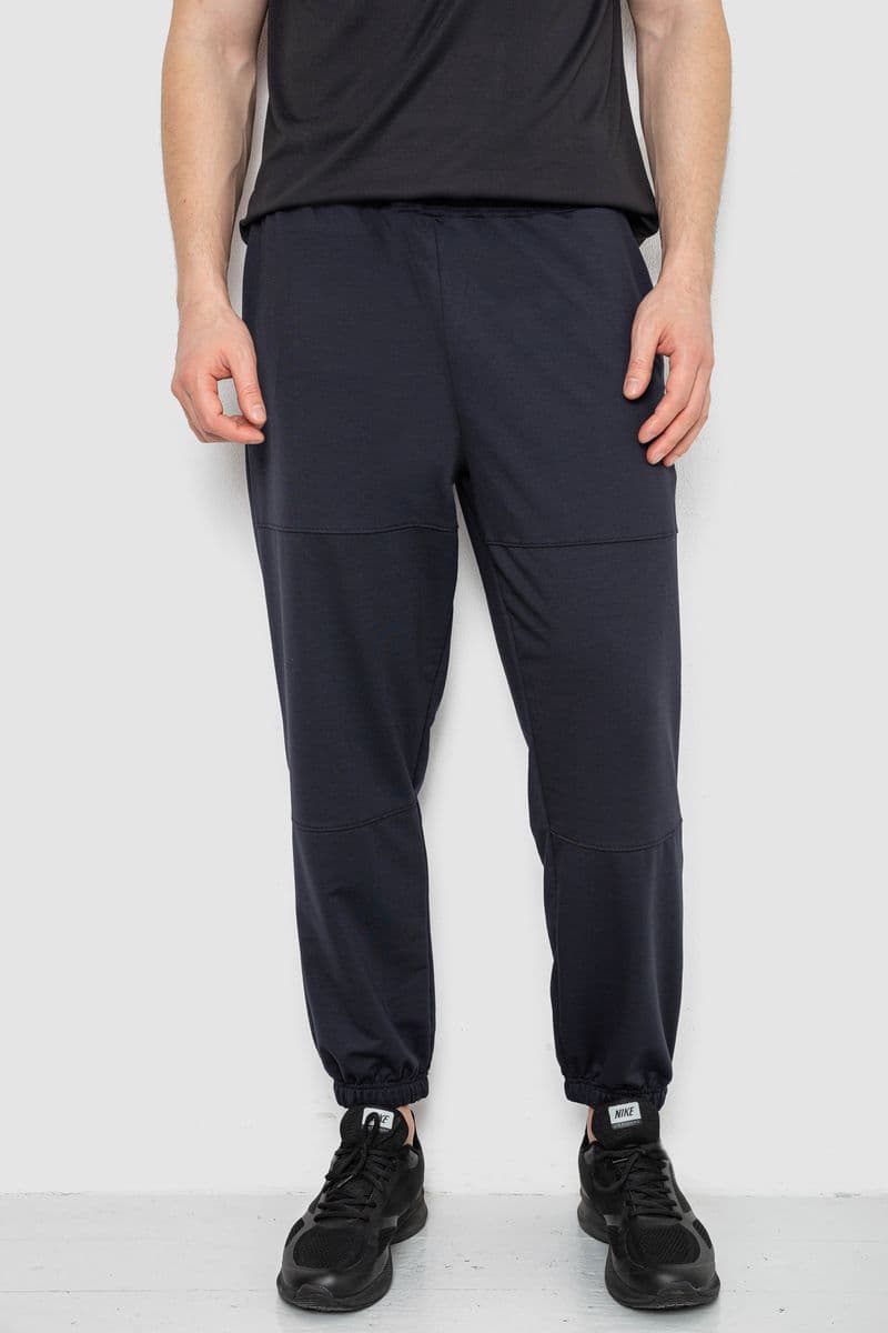 Спортивні штани чоловічі демісезонні, колір темно-синій, 241R001-1 - зображення 1