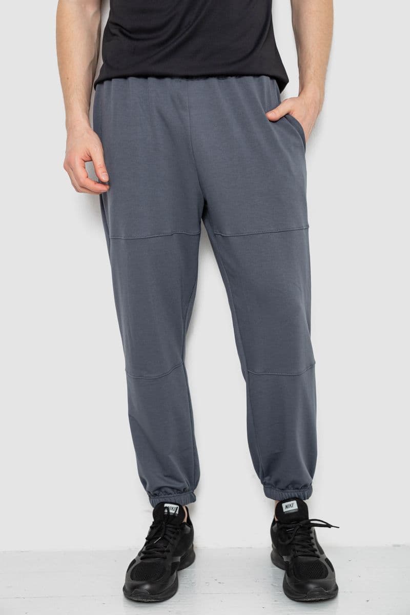 Спортивні штани чоловічі демісезонні, колір сірий, 241R001-1 - зображення 1