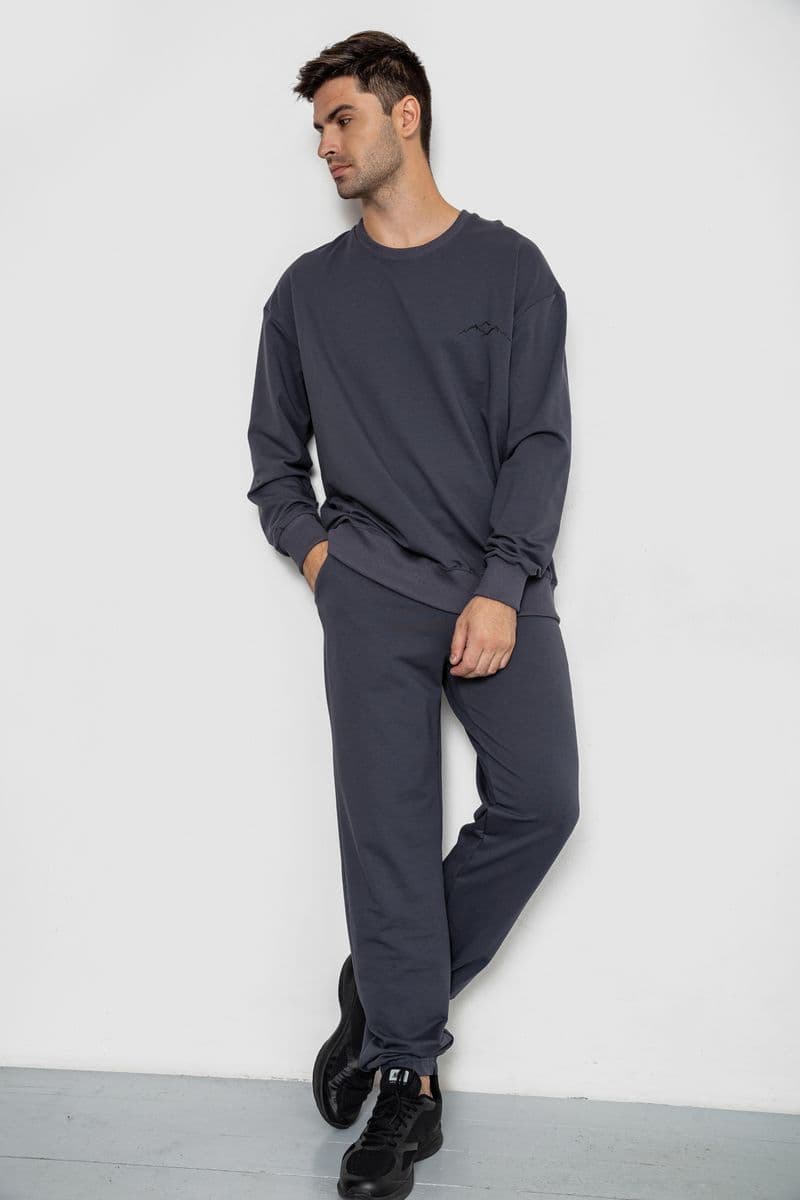 Спортивний чоловічий демісезонний костюм, колір сірий, 241R176 - зображення 1