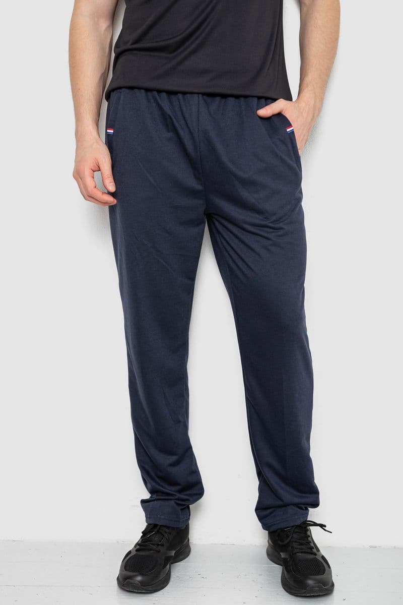 Спортивні штани чоловічі, колір темно-синій, 244R41745 - зображення 1