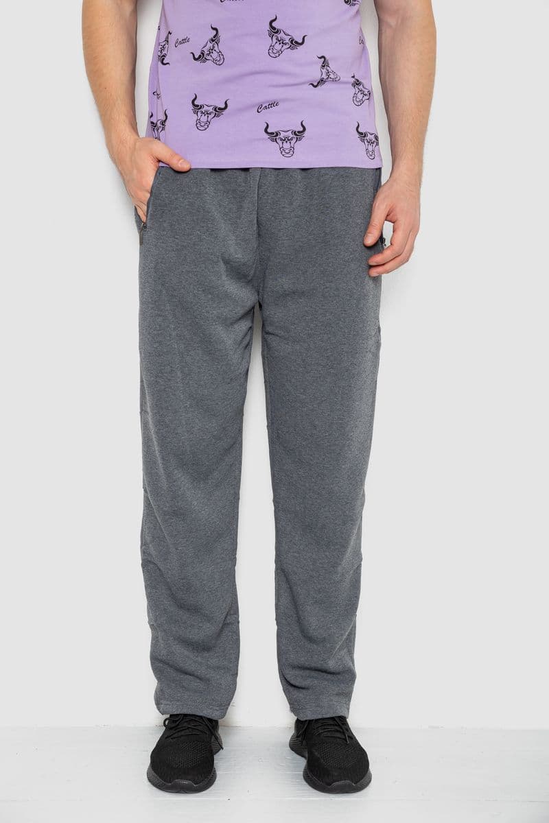 Спорт чоловічі штани, колір сірий, 244R41260 - зображення 1