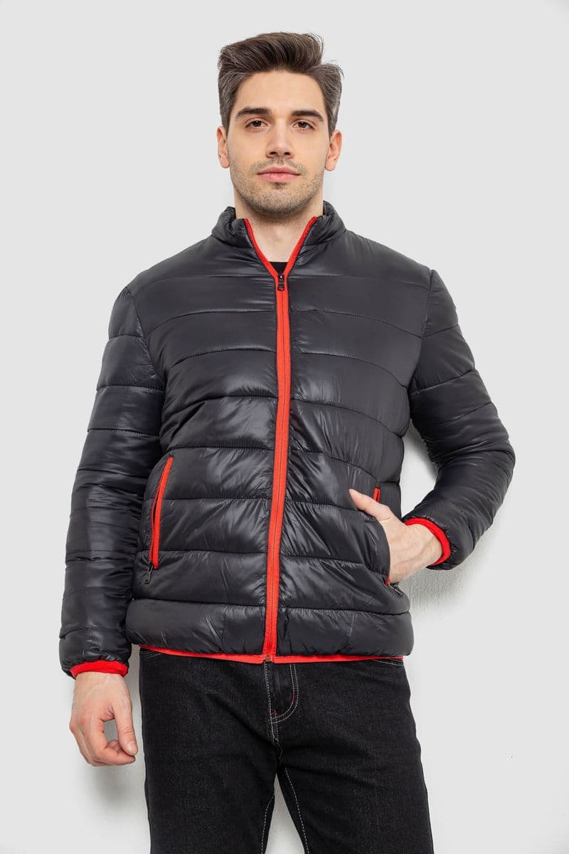 Куртка чоловіча демісезонна 244RL616, колір Чорний - зображення 1