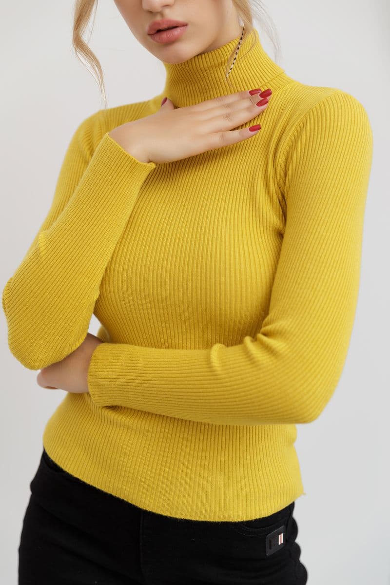 Стильний жіночий гольф у рубчик, колір гірчичний, 204R001 - зображення 1