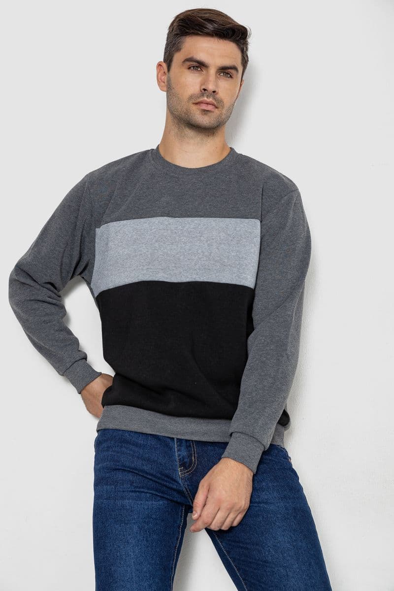 Батник чоловічий на флісі, колір сірий, 244R2349 - зображення 1