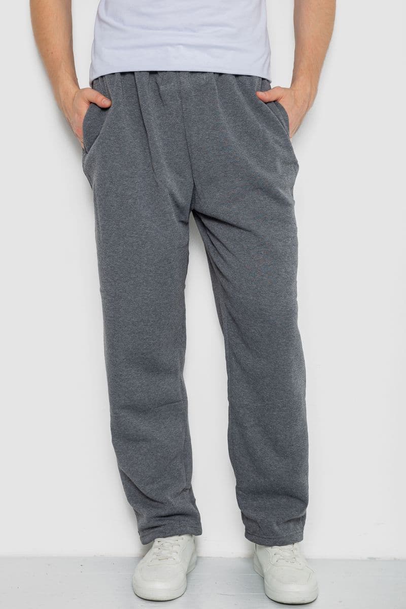 Спортивні штани чоловічі, колір сірий, 244R3849 - зображення 1