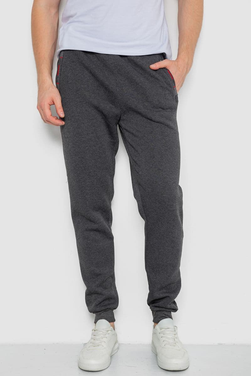 Спорт чоловічі штани на флісі, колір темно-сірий, 244R41682 - зображення 1
